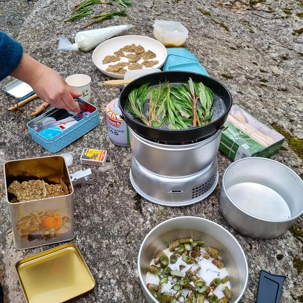 Utendørs matlaging med sankede råvarer på stormkjøkken i naturen