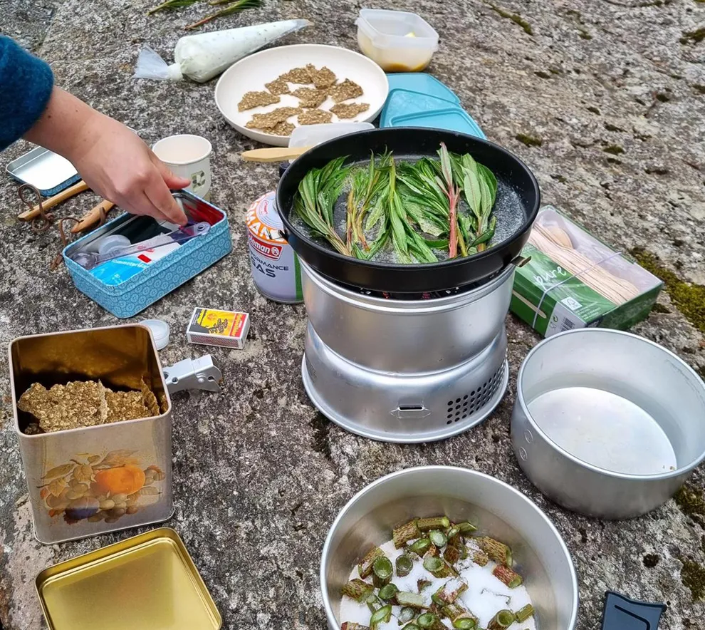 Utendørs matlaging med sankede råvarer på stormkjøkken i naturen