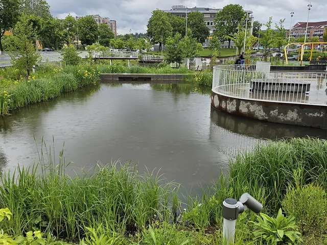 Dam i Skårerparken i Lørenskog.