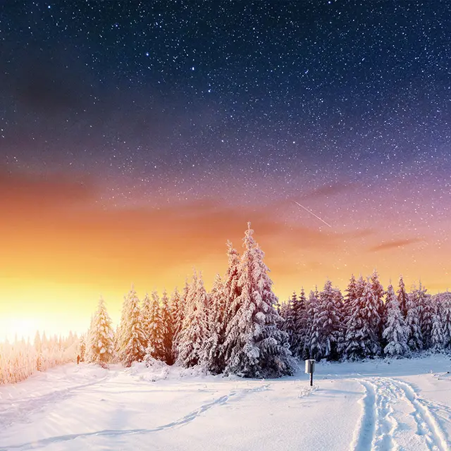 En snødekt skog med i solnedgang med gyllent, magisk lys.