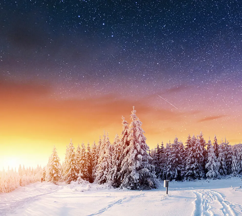 En snødekt skog med i solnedgang med gyllent, magisk lys.