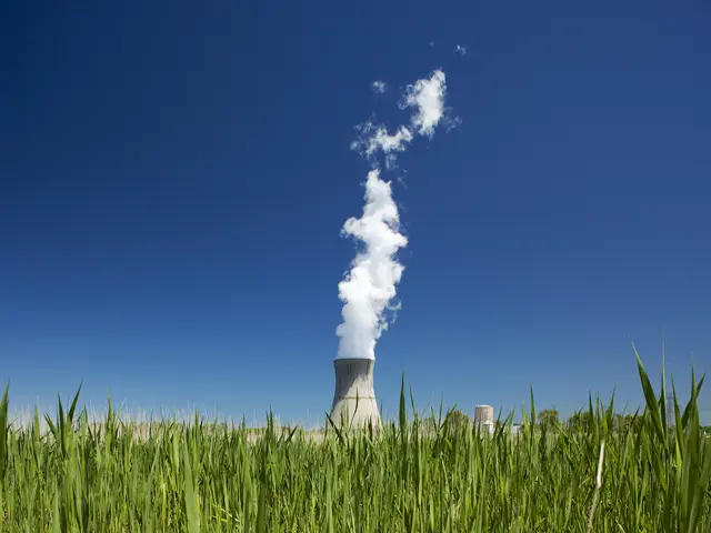 Kjernekraftverk med grønne planter rundt 