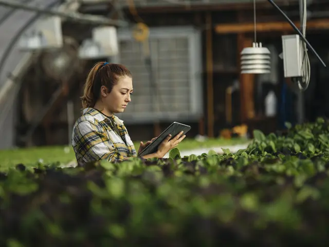 Kvinne som leser på et nettbrett i et grønt miljø