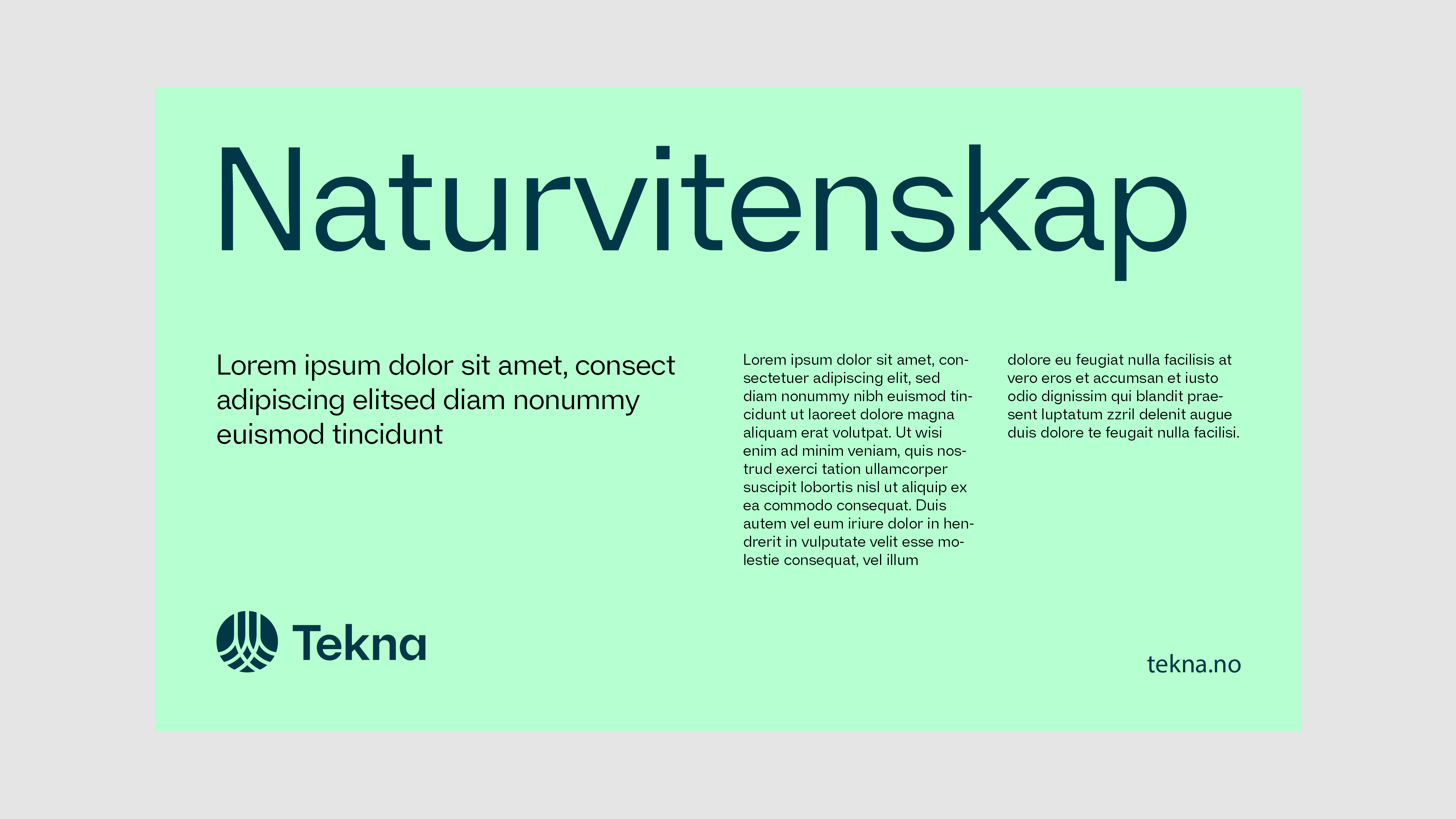 Layoutprinsipp 3.jpg