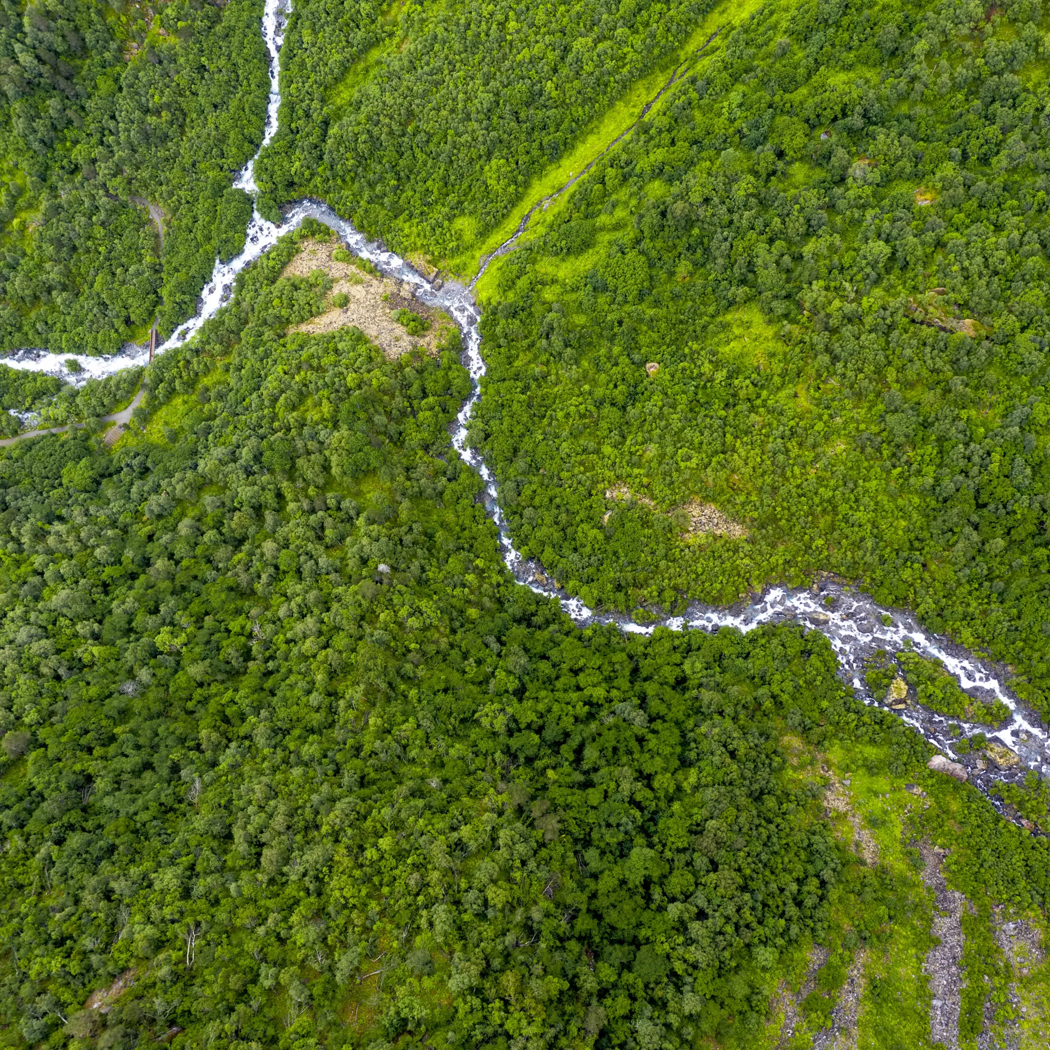 Et skogområde med en elv som flyter gjennom, sett fra luften.