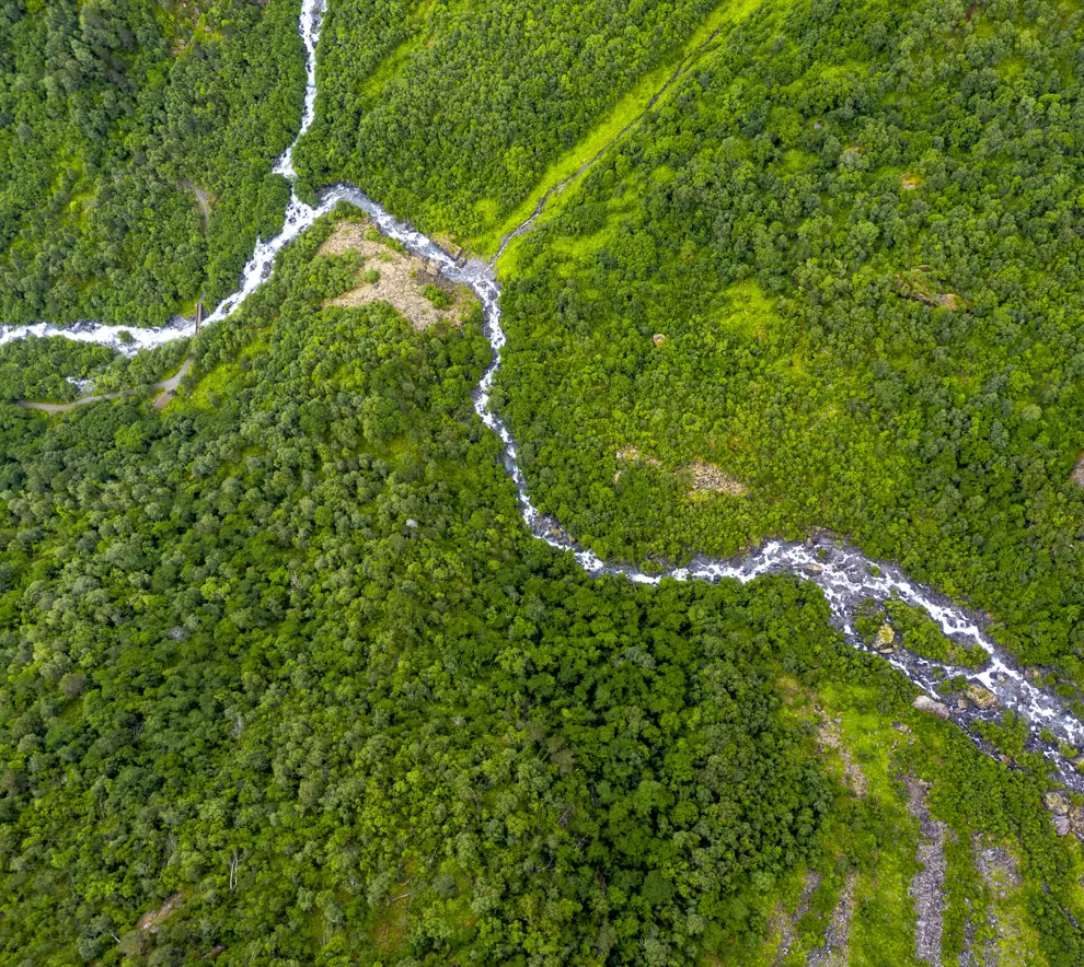 Et skogområde med en elv som flyter gjennom, sett fra luften.
