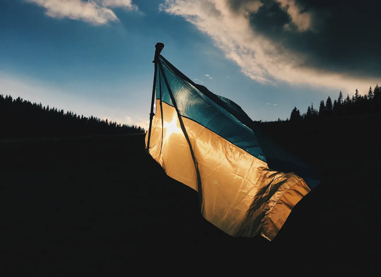 Det Ukrainske flagget
