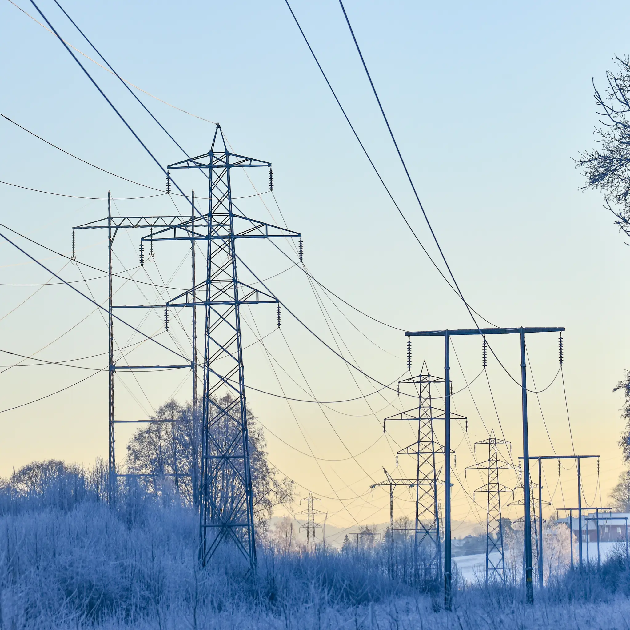 Strømmaster i vinterlandskap