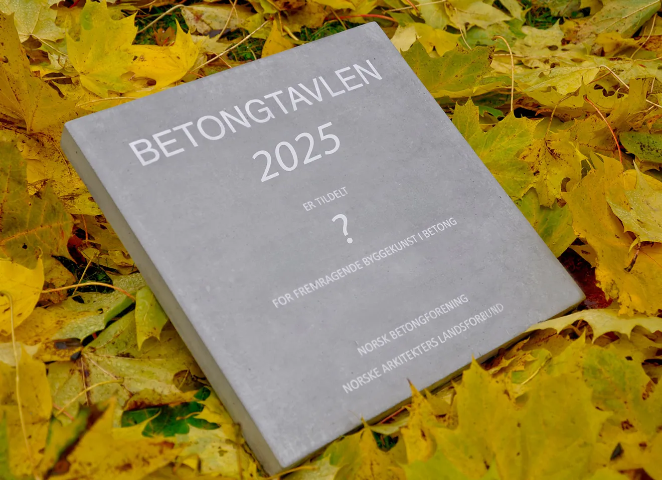 Betongtavlen 2025