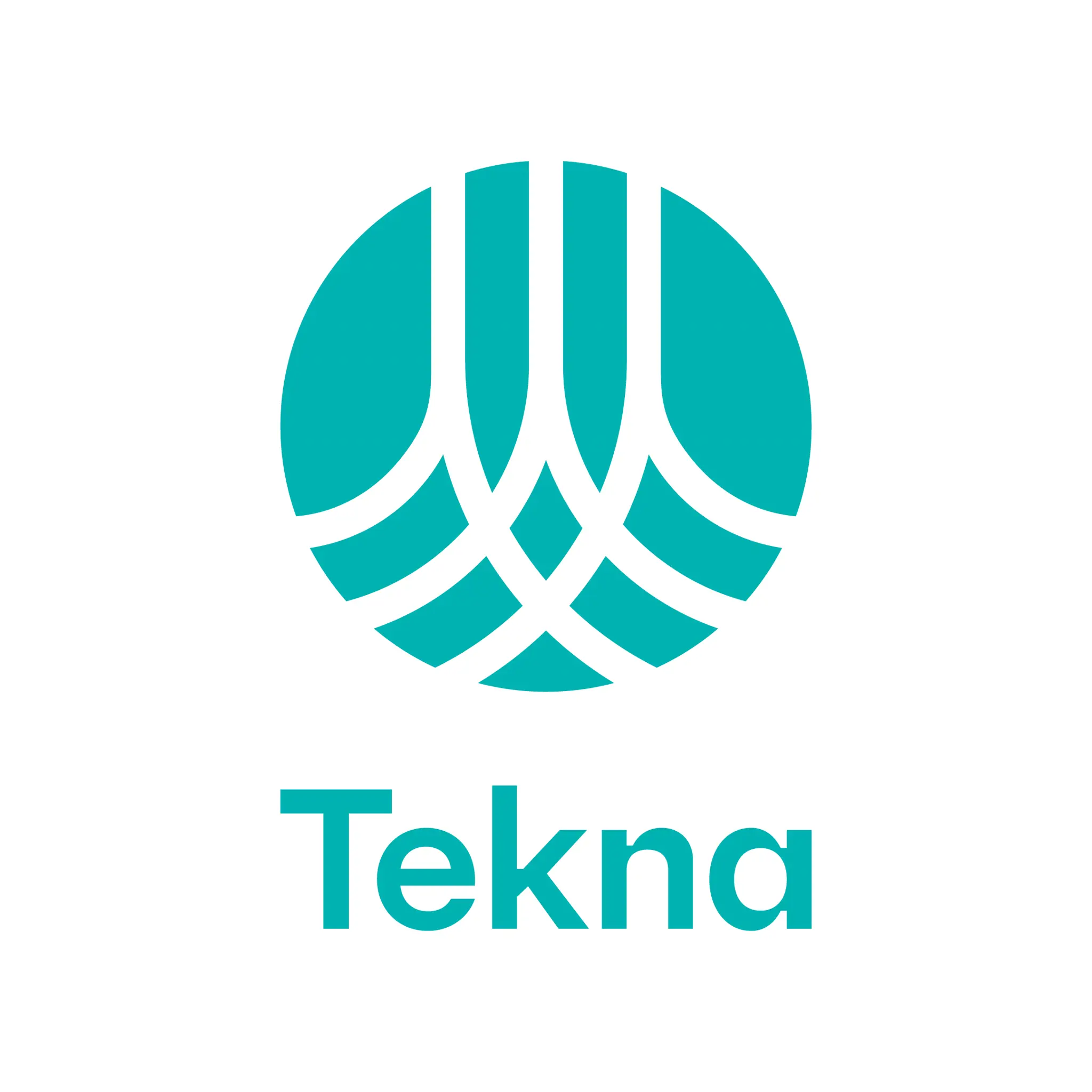 Logo Tekna
