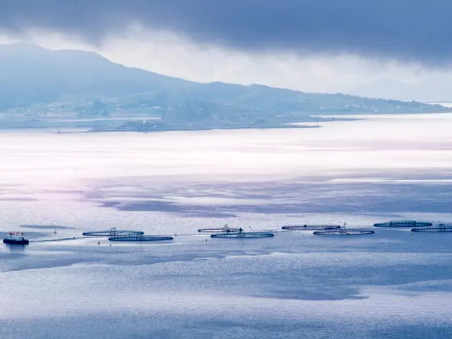 Vinterbilde av oppdrettsanlegg