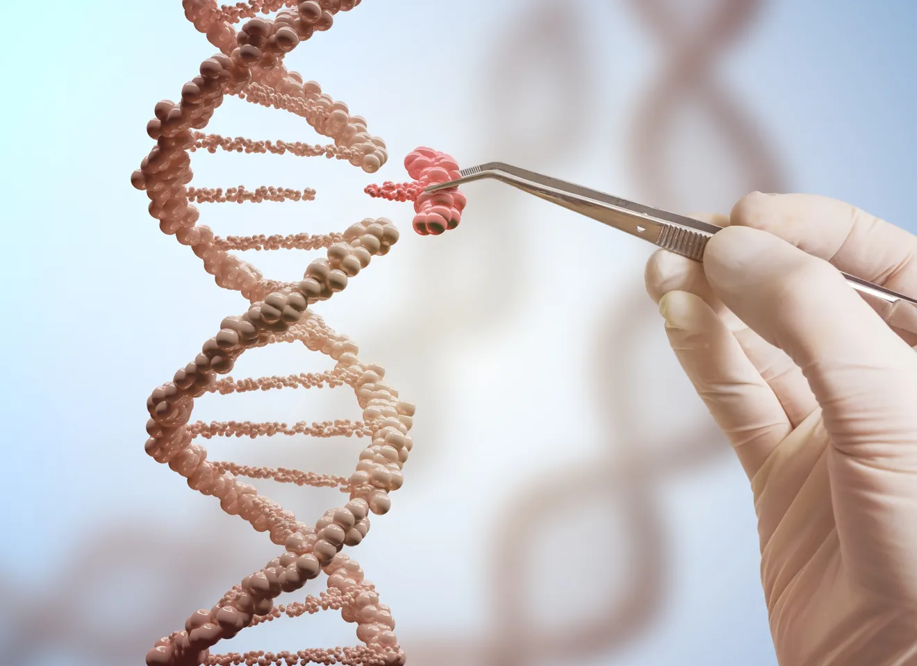 Pinsett tukler i DNAkjede